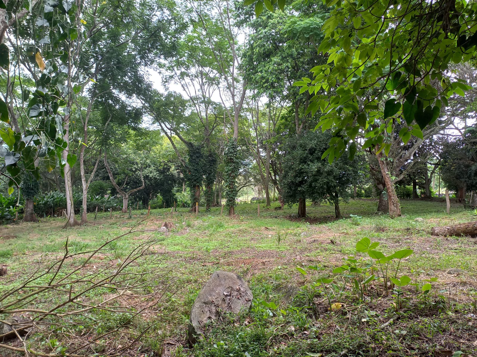 Se venden 2 lotes en San Jerónimo (Antioquia)