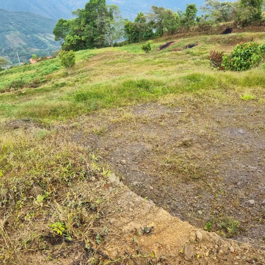Lote en San Jerónimo, vereda El Mestizo